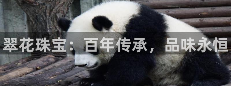 新宝5手机登陆：翠花珠宝：百年传承，品味永恒