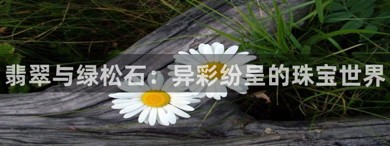 新宝5代理注册：翡翠与绿松石：异彩纷呈的珠宝世界