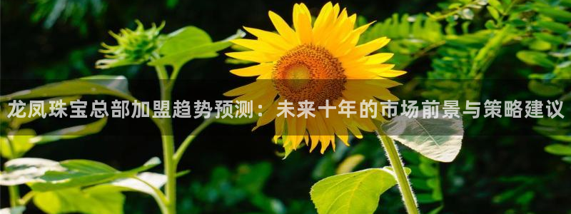 新宝5吕74OOO5：龙凤珠宝总部加盟趋势预测：未来十年的市场前景与策略建议