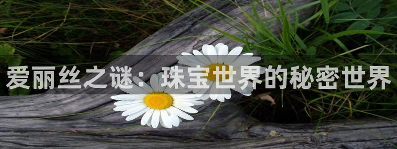 新宝5娱乐手机登录：爱丽丝之谜：珠宝世界的秘密世界