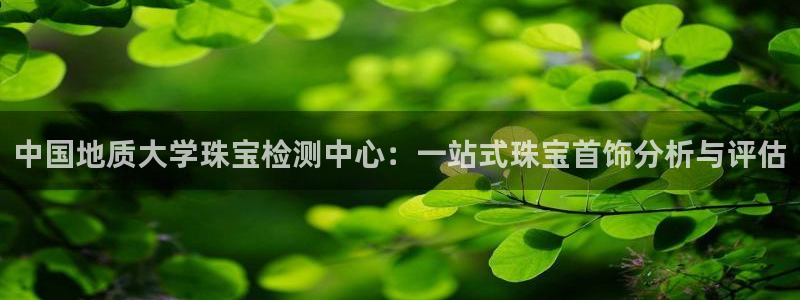 新宝5下载 迅雷下载：中国地质大学珠宝检测中心：一站式珠宝首饰分析与评估
