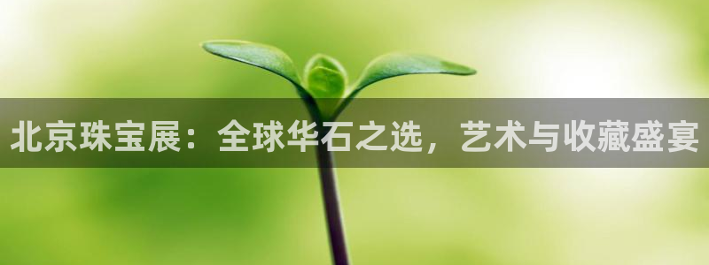 新宝5后：北京珠宝展：全球华石之选，艺术与收藏盛宴