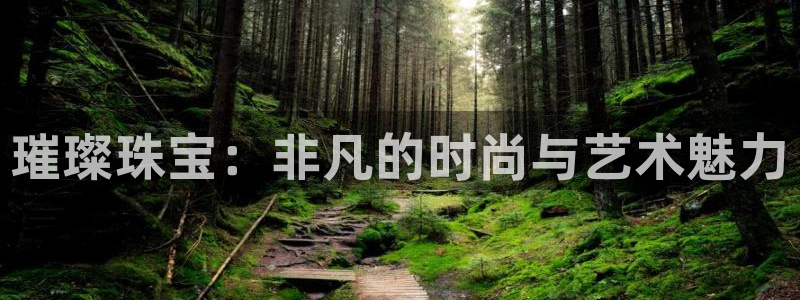 新宝5唯一：璀璨珠宝：非凡的时尚与艺术魅力