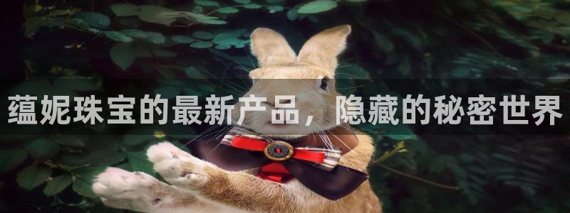 新宝5娱乐平台：蕴妮珠宝的最新产品，隐藏的秘密世界