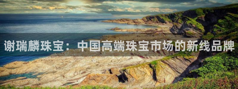新宝5寂创33300散：谢瑞麟珠宝：中国高端珠宝市场的新线品牌