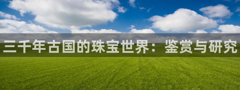 新宝5卫74OOO5：三千年古国的珠宝世界：鉴赏与研究