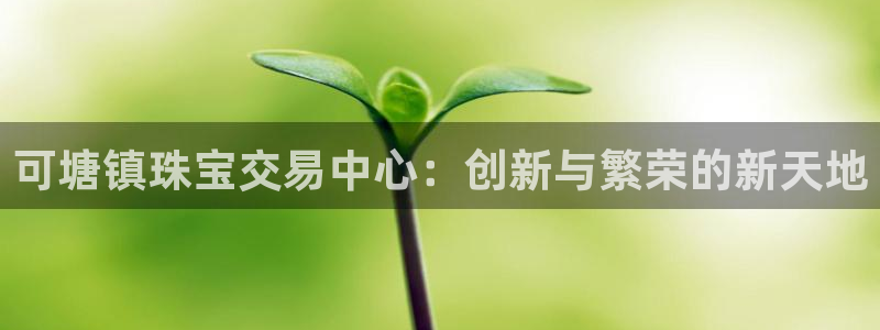 新宝5网址：可塘镇珠宝交易中心：创新与繁荣的新天地