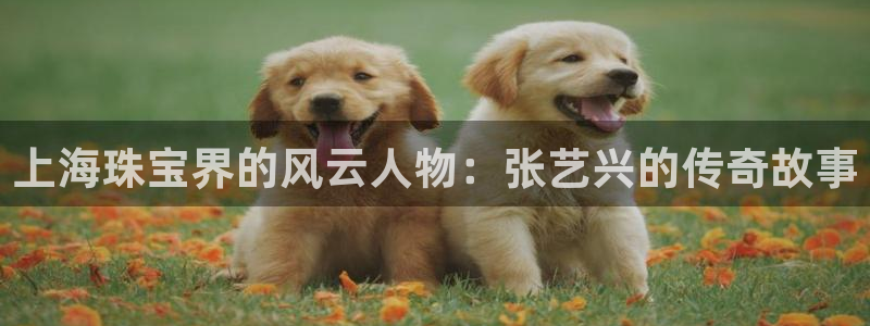 新宝5娱乐招商：上海珠宝界的风云人物：张艺兴的传奇故事