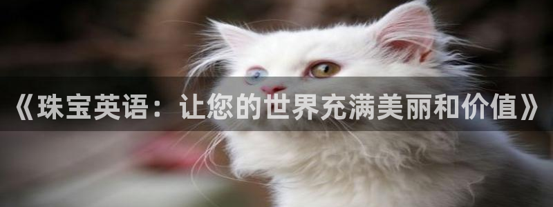 新宝5 注册：《珠宝英语：让您的世界充满美丽和价值》