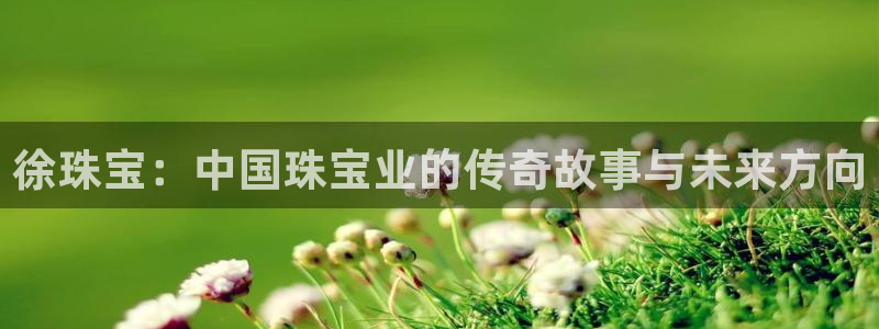 新宝5官方下载地址：徐珠宝：中国珠宝业的传奇故事与未来方向