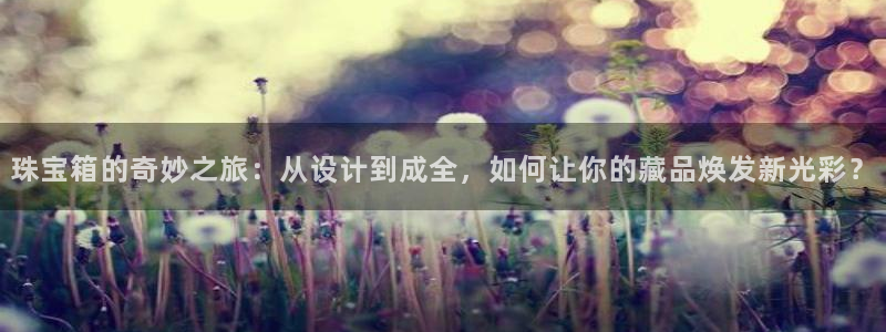 新宝骏rc5W：珠宝箱的奇妙之旅：从设计到成全，如何让你的藏品焕发新光彩？