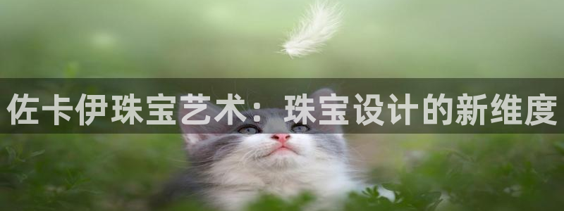 新宝5娱乐手机登录：佐卡伊珠宝艺术：珠宝设计的新维度