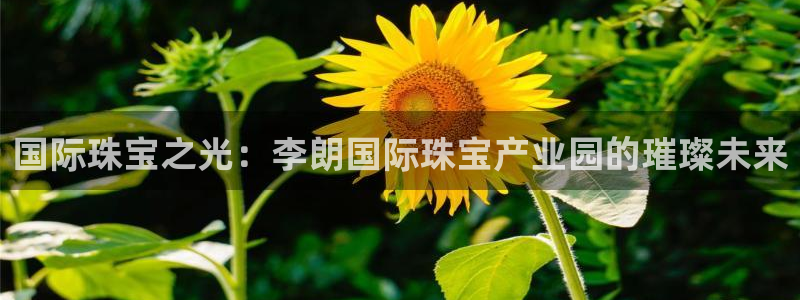 新宝5娱乐都：国际珠宝之光：李朗国际珠宝产业园的璀璨未来