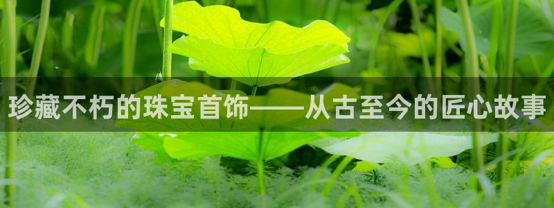 新宝骏rc5W：珍藏不朽的珠宝首饰——从古至今的匠心故事