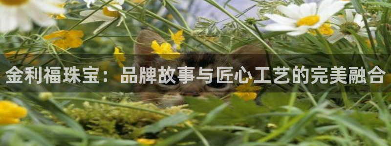 新宝5娱乐没：金利福珠宝：品牌故事与匠心工艺的完美融合