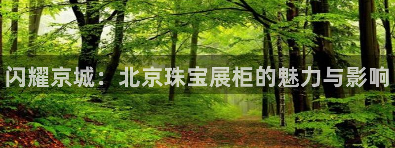 新宝5：闪耀京城：北京珠宝展柜的魅力与影响