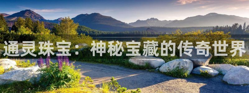 新宝5安卓版：通灵珠宝：神秘宝藏的传奇世界