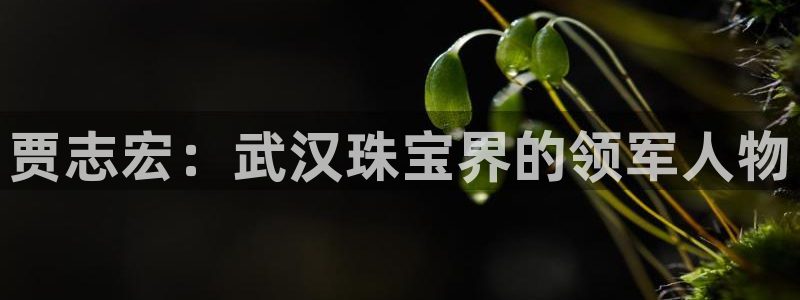 新宝5球维33 300：贾志宏：武汉珠宝界的领军人物