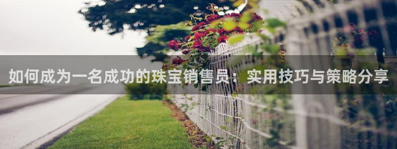 老新宝5授权登录：如何成为一名成功的珠宝销售员：实用技巧与策略分享