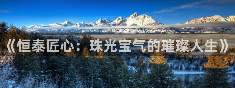 有人知道新宝5么：《恒泰匠心：珠光宝气的璀璨人生》