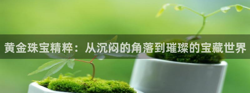 新宝5吴74OOO5：黄金珠宝精粹：从沉闷的角落到璀璨的宝藏世界