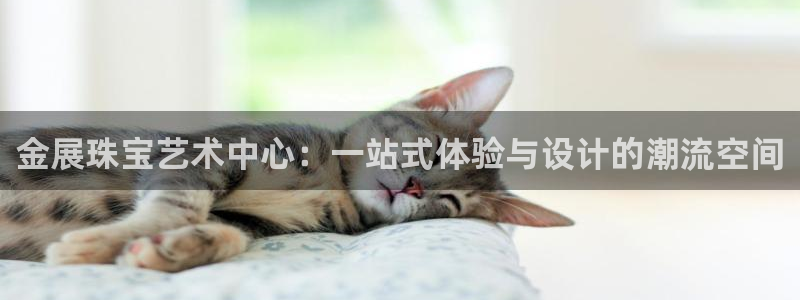 新宝5 测速：金展珠宝艺术中心：一站式体验与设计的潮流空间