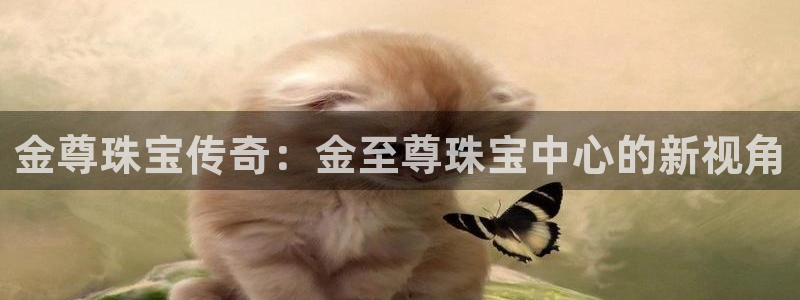 新宝5黑：金尊珠宝传奇：金至尊珠宝中心的新视角