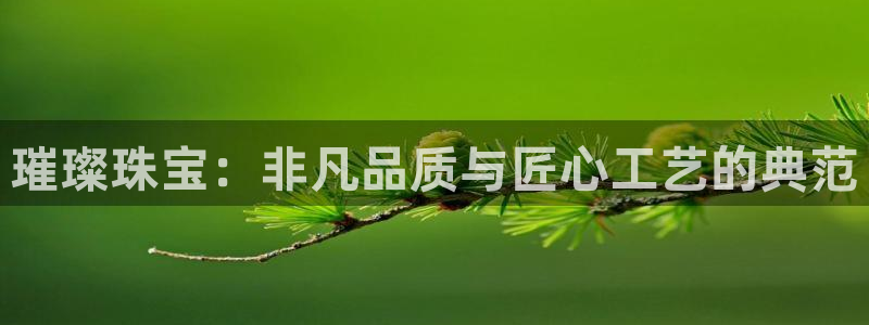 新宝5线路登录检测：璀璨珠宝：非凡品质与匠心工艺的典范