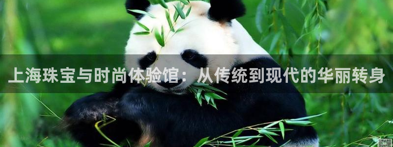 新宝5在哪里：上海珠宝与时尚体验馆：从传统到现代的华丽转身