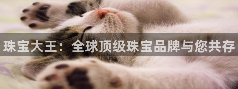 新宝5娱乐都：珠宝大王：全球顶级珠宝品牌与您共存