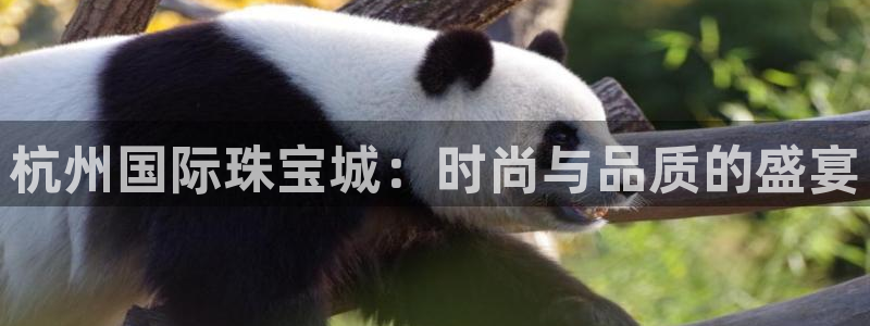 新宝5开好：杭州国际珠宝城：时尚与品质的盛宴