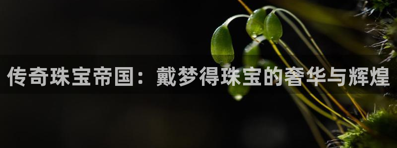 新宝5官方下载地址：传奇珠宝帝国：戴梦得珠宝的奢华与辉煌