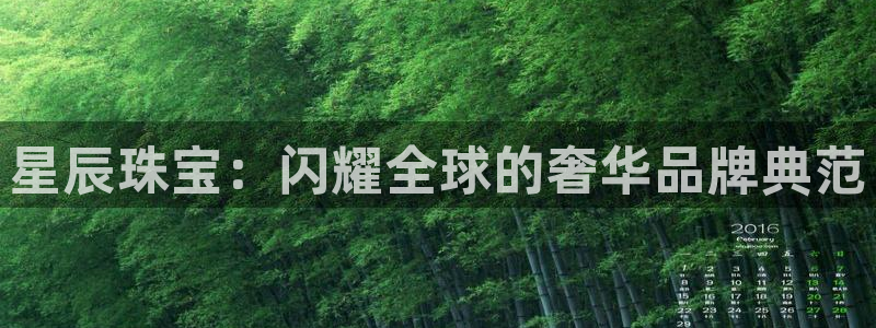 新宝5登陆：星辰珠宝：闪耀全球的奢华品牌典范