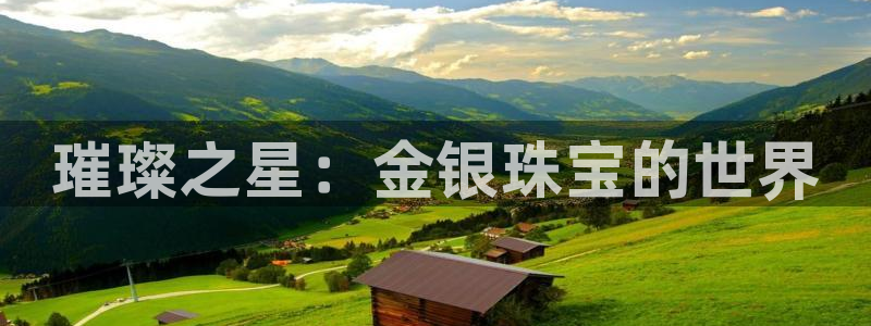 新宝5官方网站：璀璨之星：金银珠宝的世界