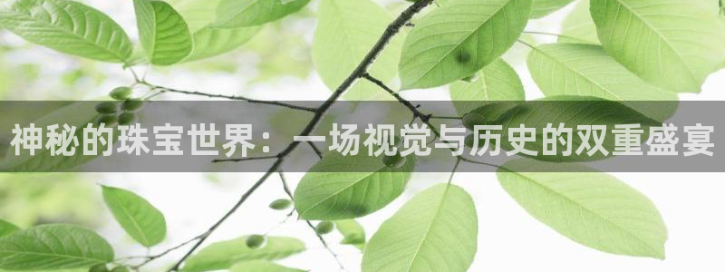 新宝5测速下载：神秘的珠宝世界：一场视觉与历史的双重盛宴