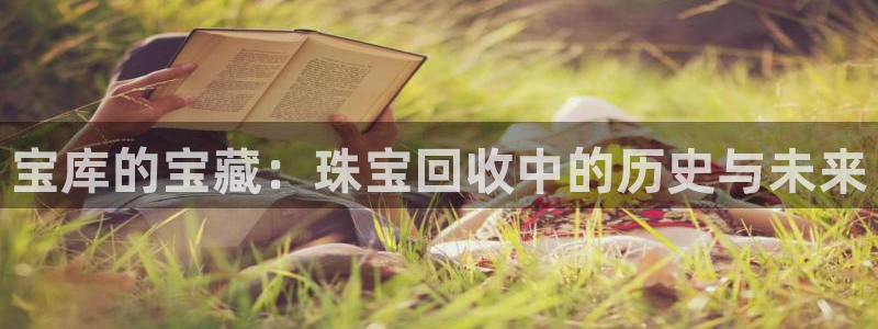 新宝5怎么代理：宝库的宝藏：珠宝回收中的历史与未来