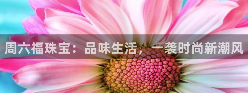 新宝5测速平台登录：周六福珠宝：品味生活，一袭时尚新潮风