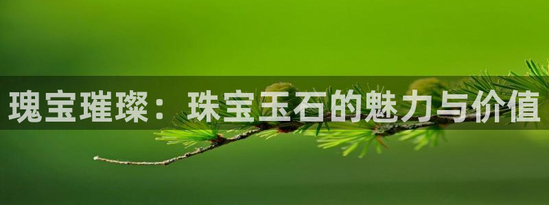 新宝5上70 667：瑰宝璀璨：珠宝玉石的魅力与价值