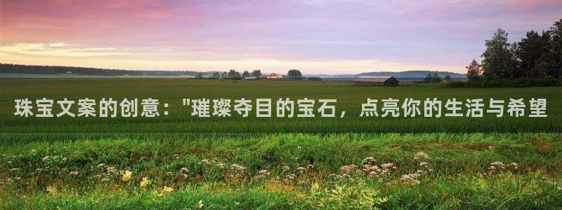 新宝h2O5O5O：珠宝文案的创意：\