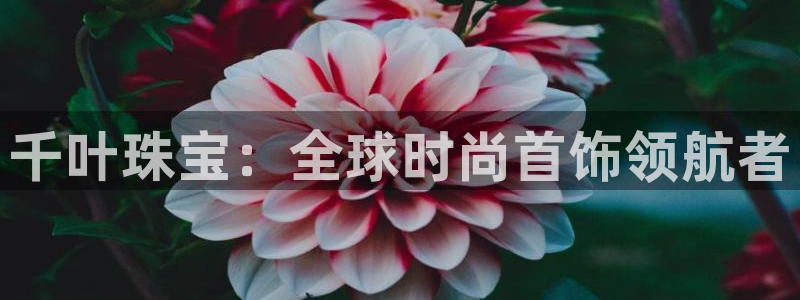 新宝5 - 测速登陆：千叶珠宝：全球时尚首饰领航者