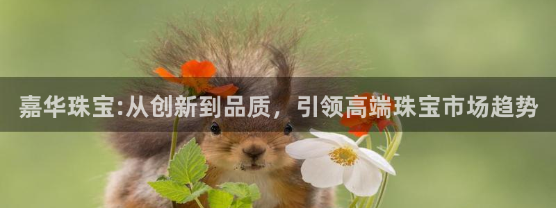 新宝5下载app：嘉华珠宝:从创新到品质，引领高端珠宝市场趋势