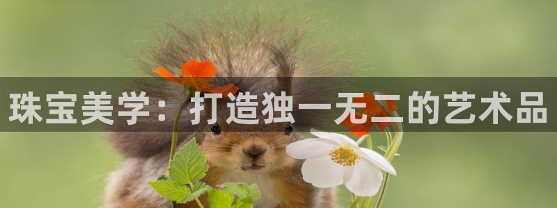 新宝5手机版登录：珠宝美学：打造独一无二的艺术品