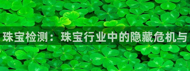 新宝rm5：珠宝检测：珠宝行业中的隐藏危机与