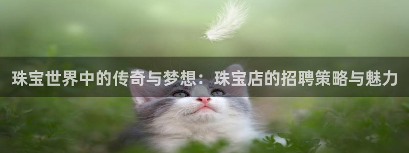 新宝5系列：珠宝世界中的传奇与梦想：珠宝店的招聘策略与魅力