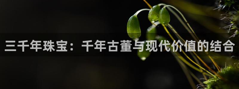 新宝5挂机：三千年珠宝：千年古董与现代价值的结合