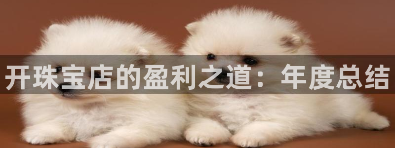 新宝5登录霸：开珠宝店的盈利之道：年度总结