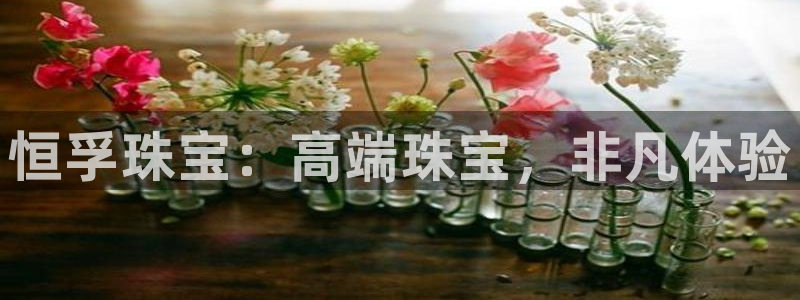 新宝5吕74OOO5：恒孚珠宝：高端珠宝，非凡体验