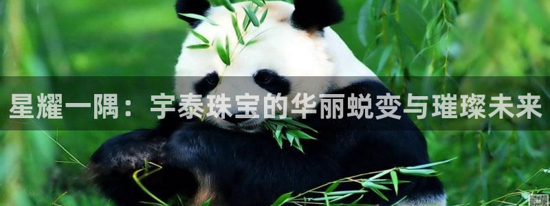 新宝m2O5O5O：星耀一隅：宇泰珠宝的华丽蜕变与璀璨未来