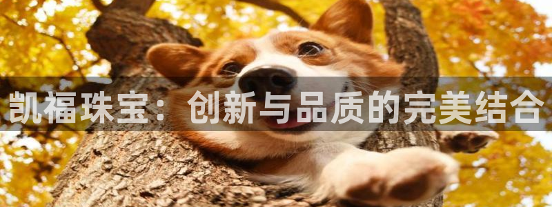 新宝5 888：凯福珠宝：创新与品质的完美结合