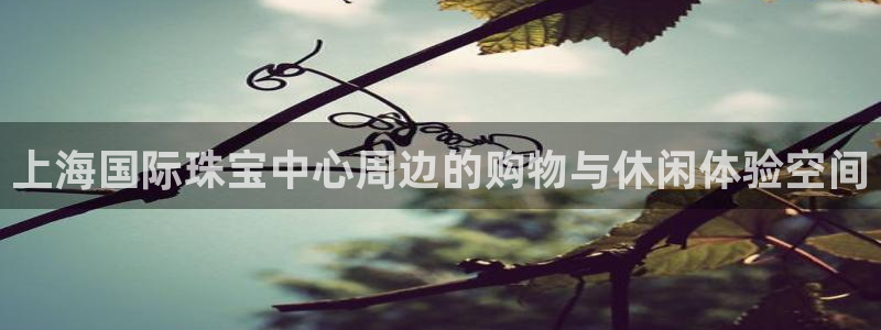 新宝5后：上海国际珠宝中心周边的购物与休闲体验空间